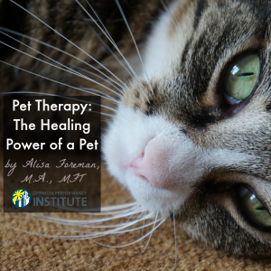 pet therapy healing