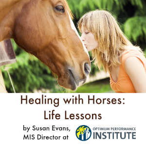 equine assisted psychotherapy OPI