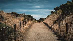 Beaches and Hiking Trails